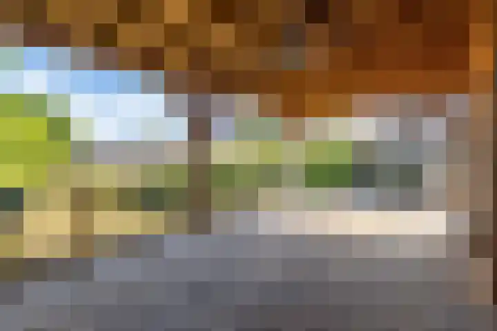Vriezenveenseweg 31 Vroomshoop thumbnail 41