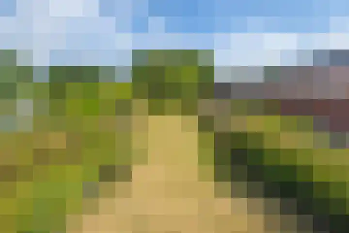 Vriezenveenseweg 31 Vroomshoop thumbnail 42