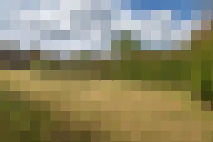 Vriezenveenseweg 31 Vroomshoop thumbnail 43
