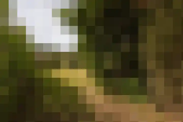 Vriezenveenseweg 31 Vroomshoop thumbnail 45