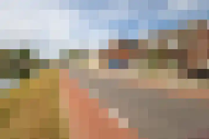 Vriezenveenseweg 31 Vroomshoop thumbnail 46