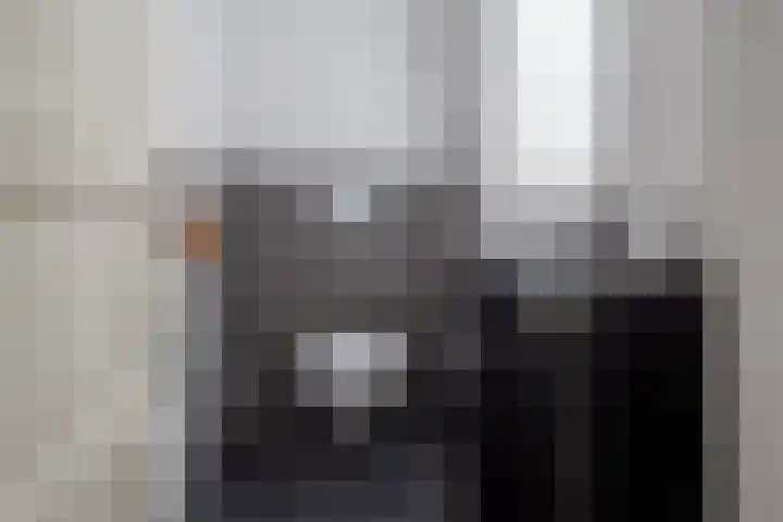 Vriezenveenseweg 31 Vroomshoop thumbnail 5