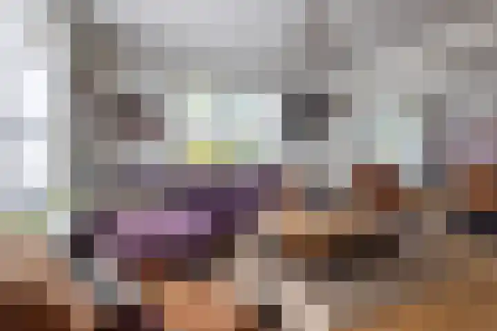 Vriezenveenseweg 31 Vroomshoop thumbnail 6