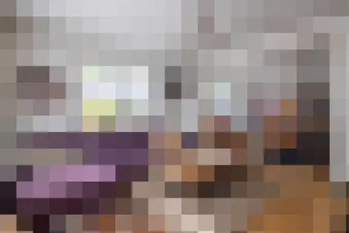 Vriezenveenseweg 31 Vroomshoop thumbnail 7