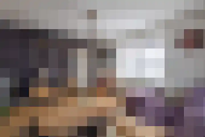 Vriezenveenseweg 31 Vroomshoop thumbnail 8