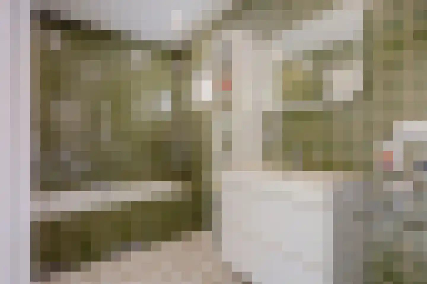 Vriezenveenseweg 4 Almelo thumbnail 19