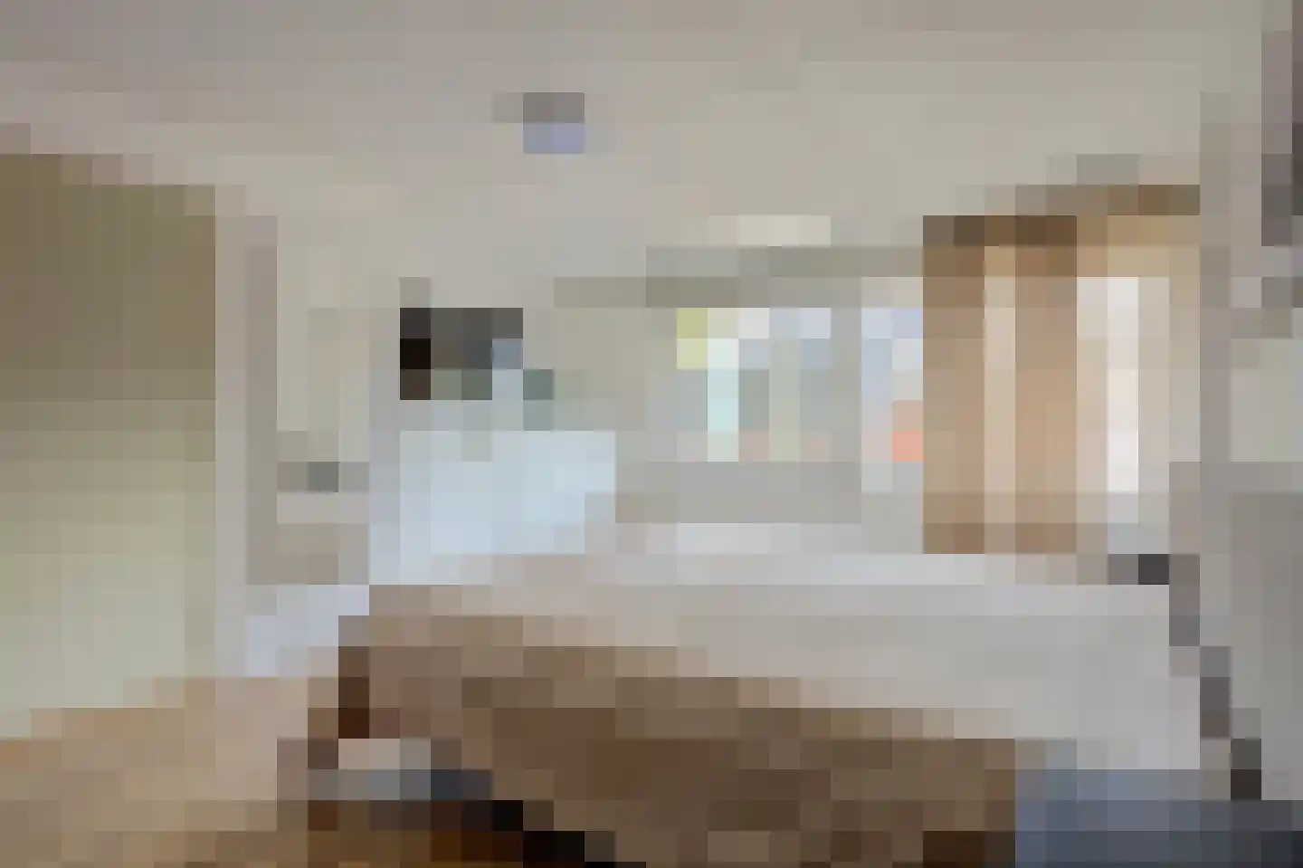 Vriezenveenseweg 4 Almelo thumbnail 22