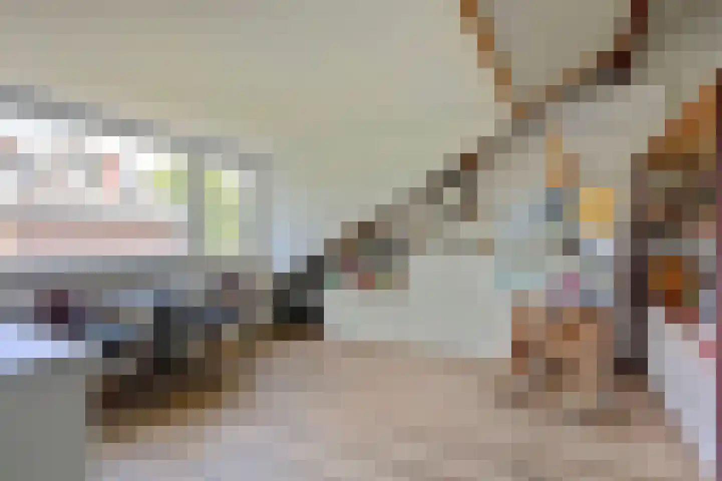 Vriezenveenseweg 4 Almelo thumbnail 27