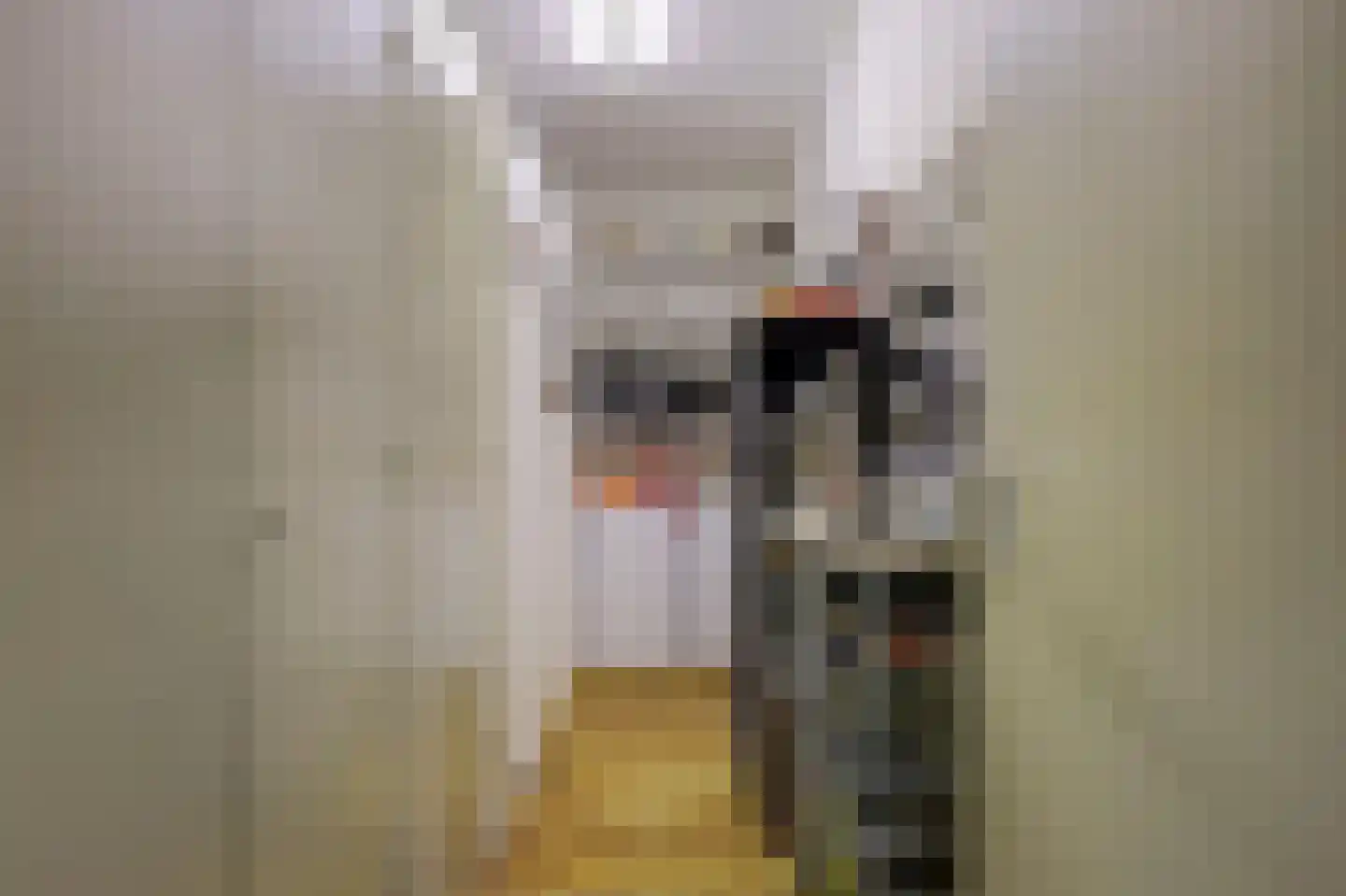 Vriezenveenseweg 4 Almelo thumbnail 31