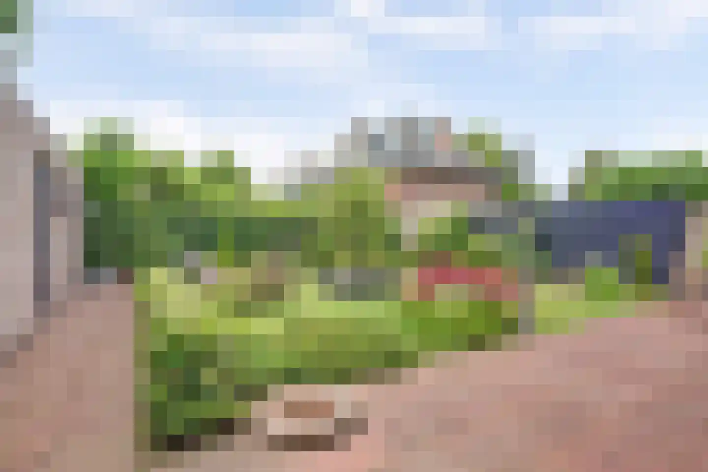 Vriezenveenseweg 4 Almelo thumbnail 32