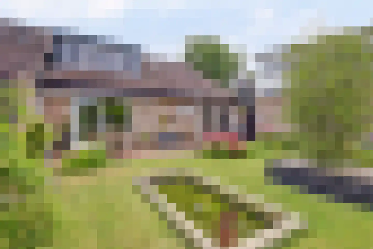 Vriezenveenseweg 4 Almelo thumbnail 33