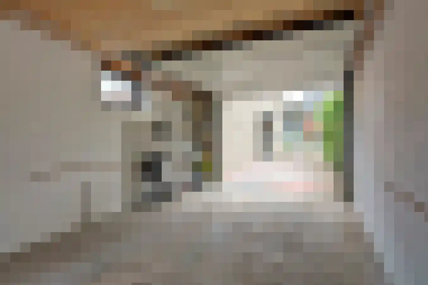 Vriezenveenseweg 4 Almelo thumbnail 36