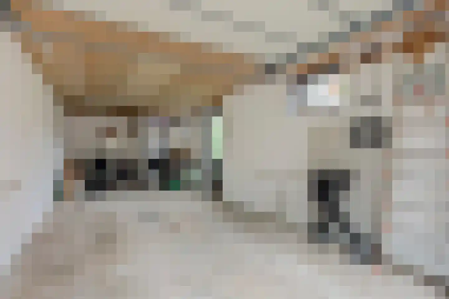 Vriezenveenseweg 4 Almelo thumbnail 37