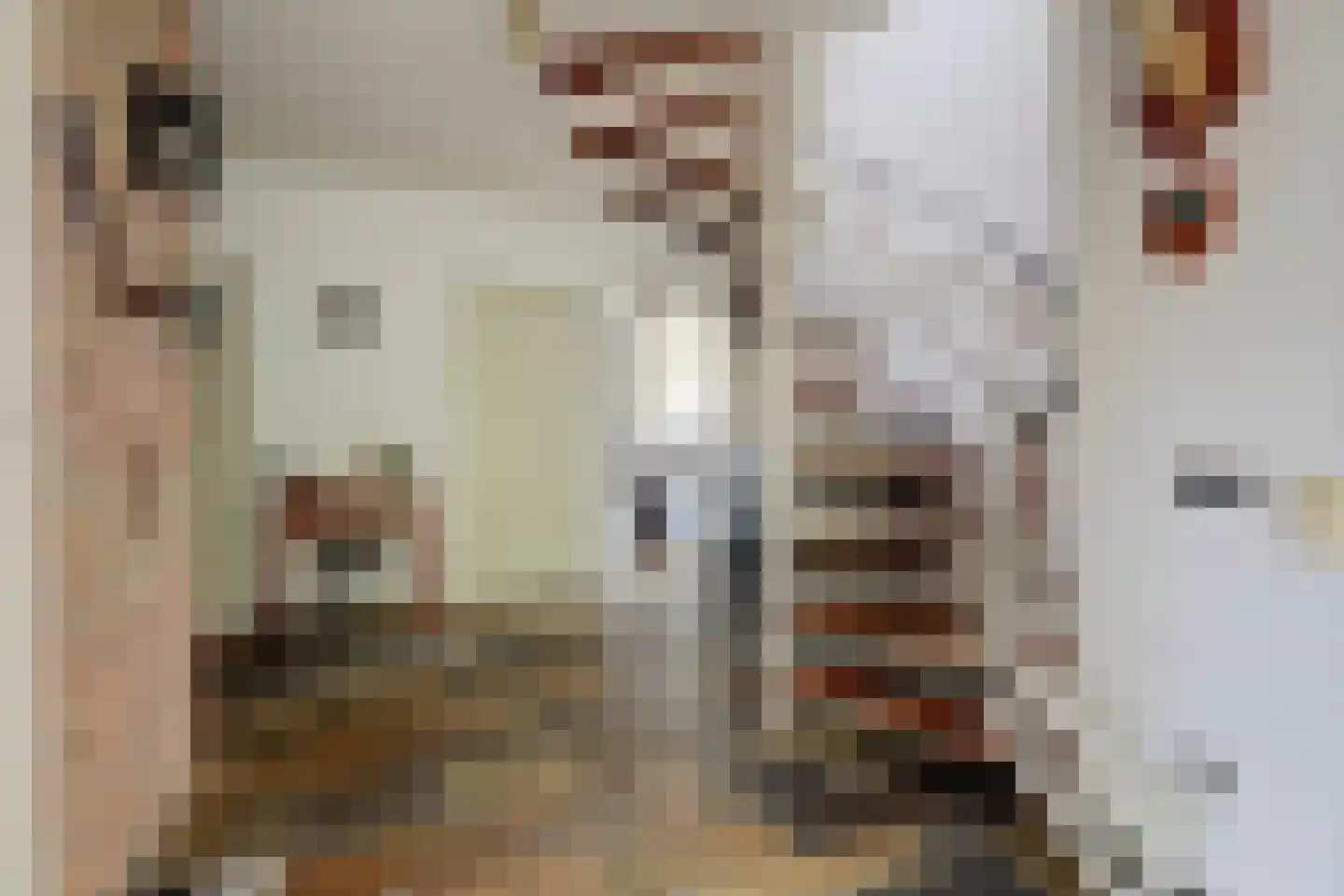 Vriezenveenseweg 4 Almelo thumbnail 4
