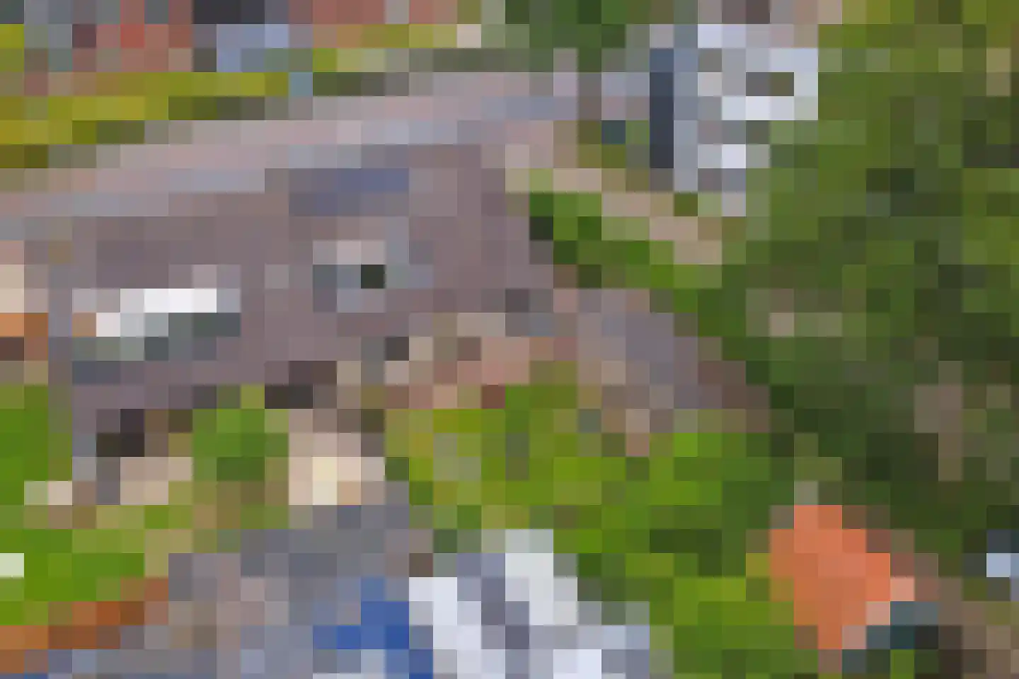 Vriezenveenseweg 4 Almelo thumbnail 44