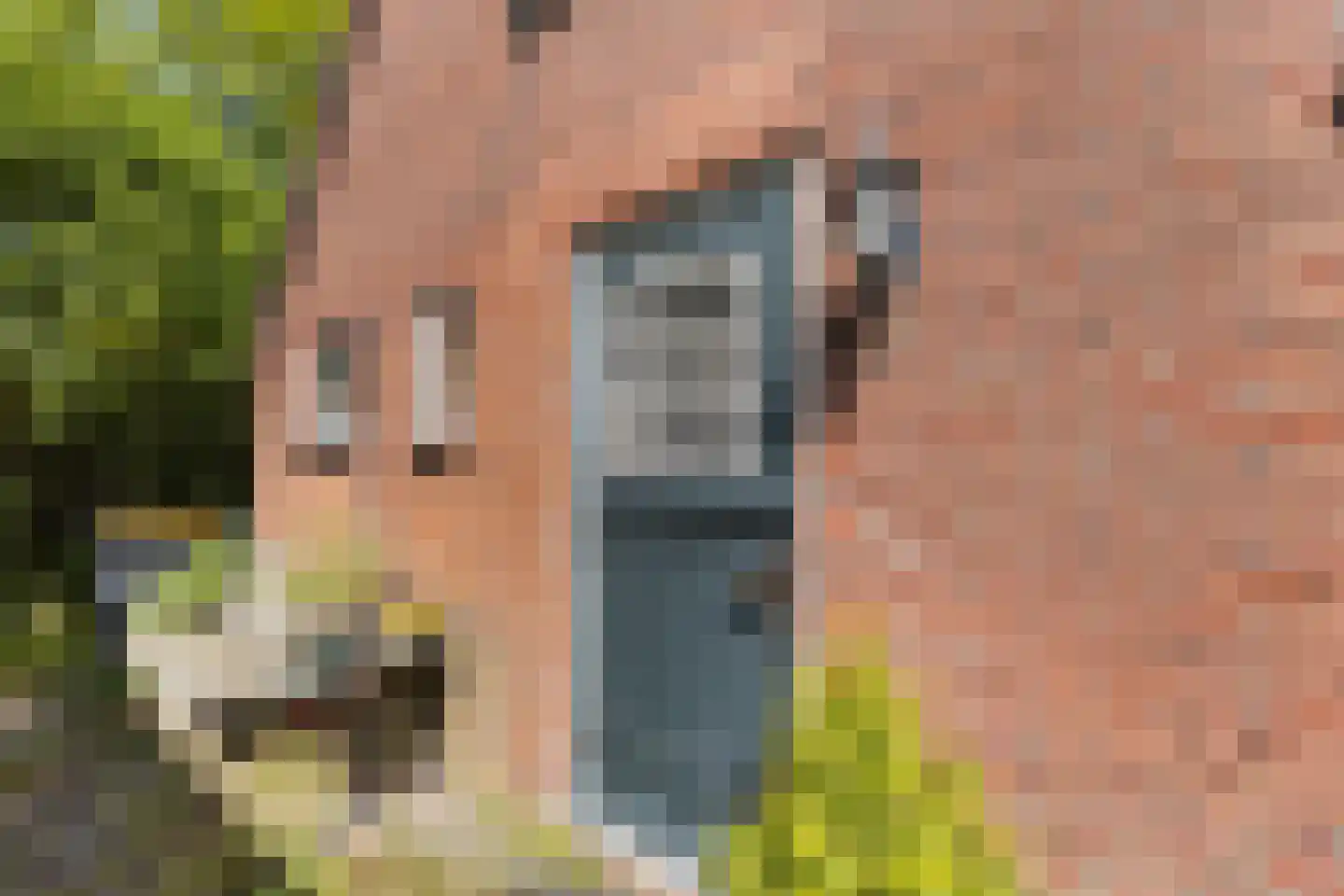 Vriezenveenseweg 41 Wierden thumbnail 10