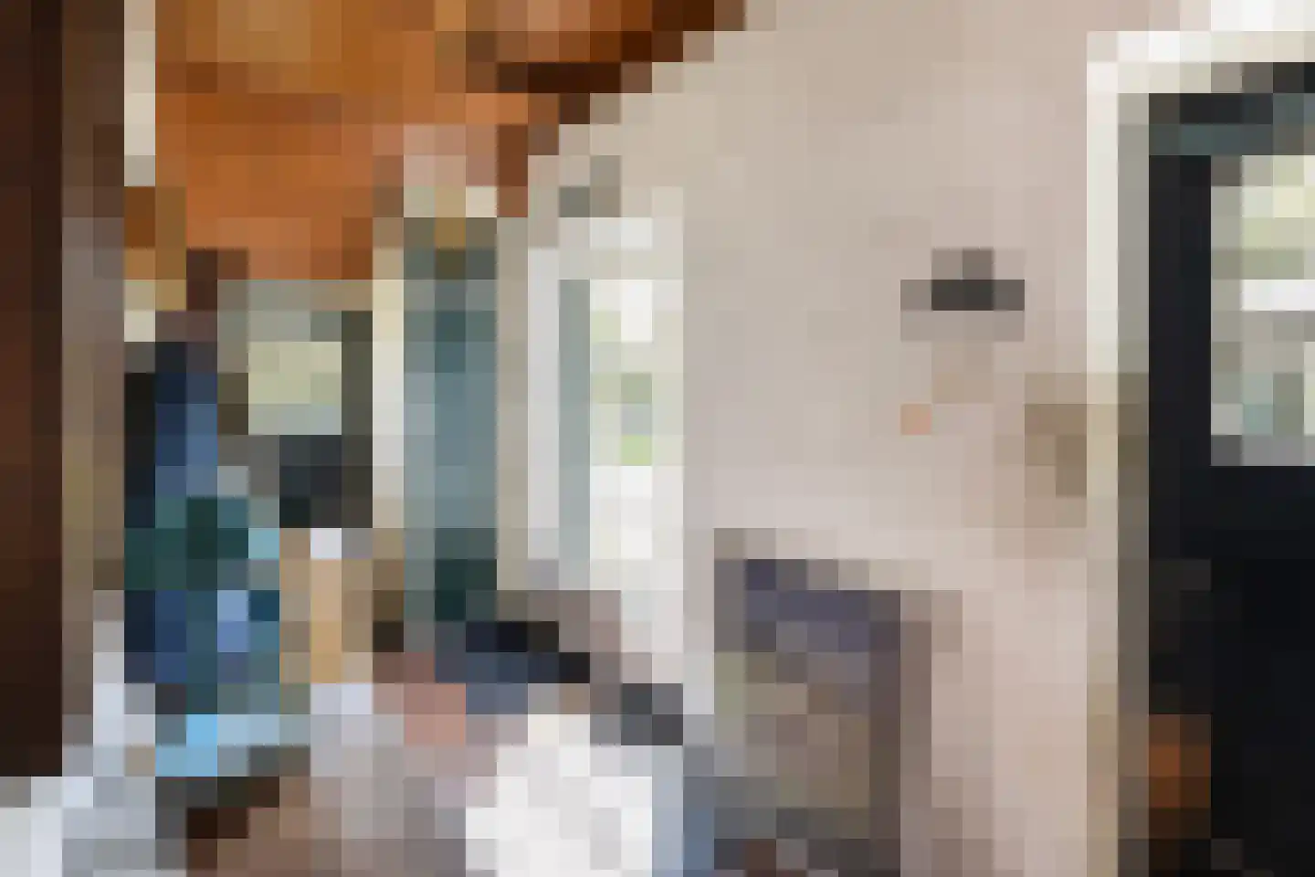 Vriezenveenseweg 41 Wierden thumbnail 11