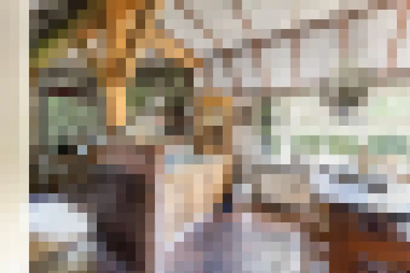 Vriezenveenseweg 41 Wierden thumbnail 15