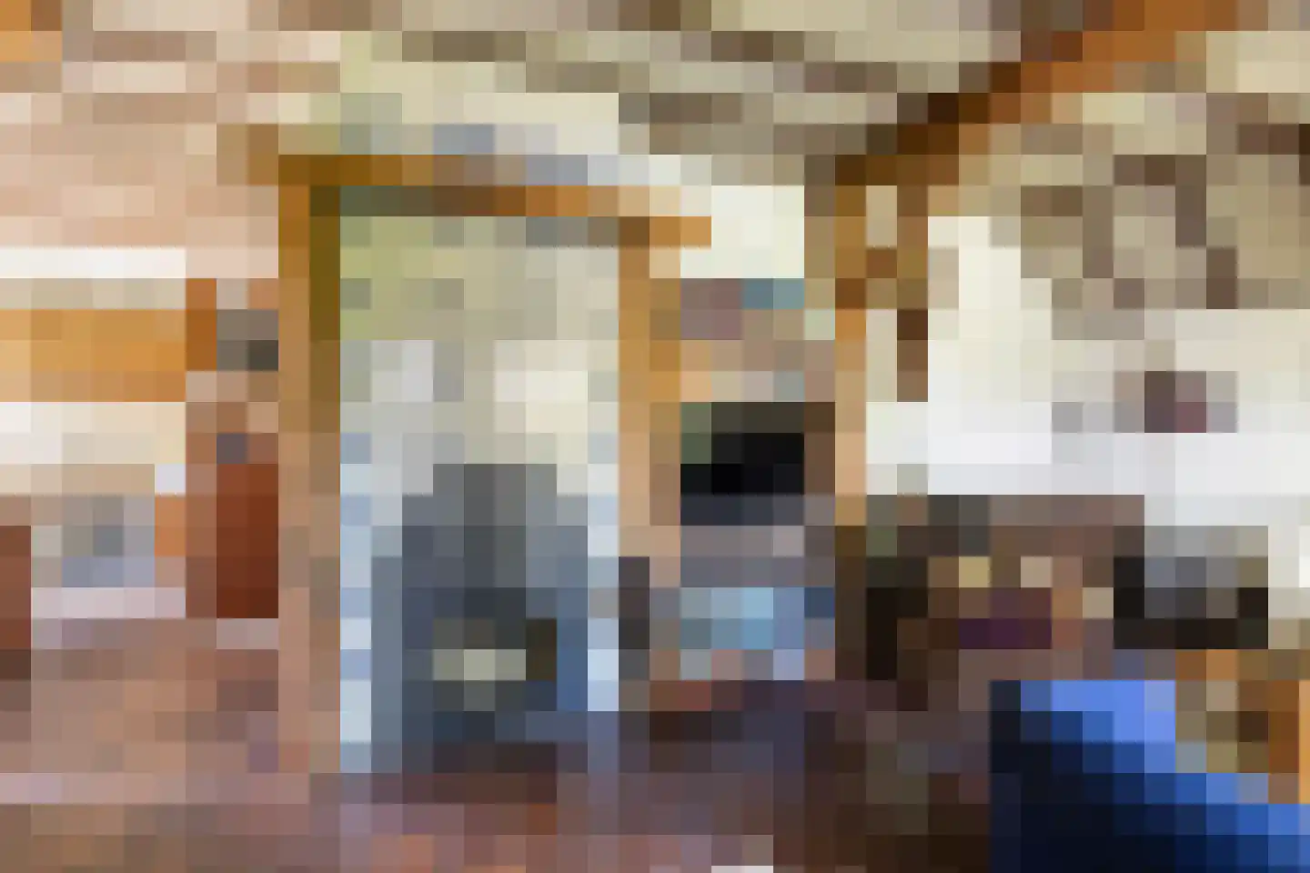 Vriezenveenseweg 41 Wierden thumbnail 18