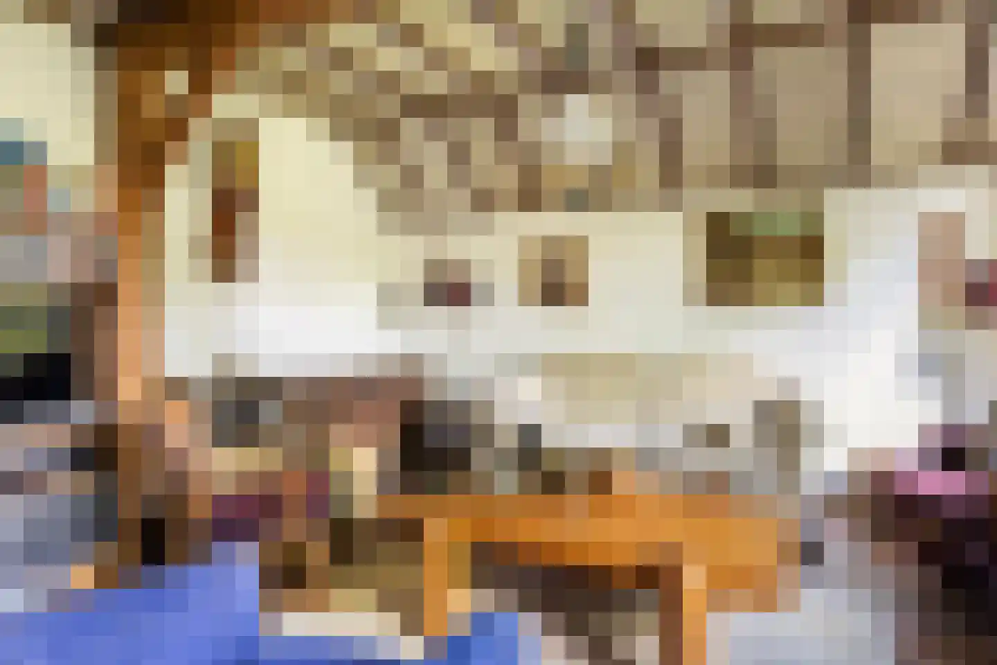 Vriezenveenseweg 41 Wierden thumbnail 19