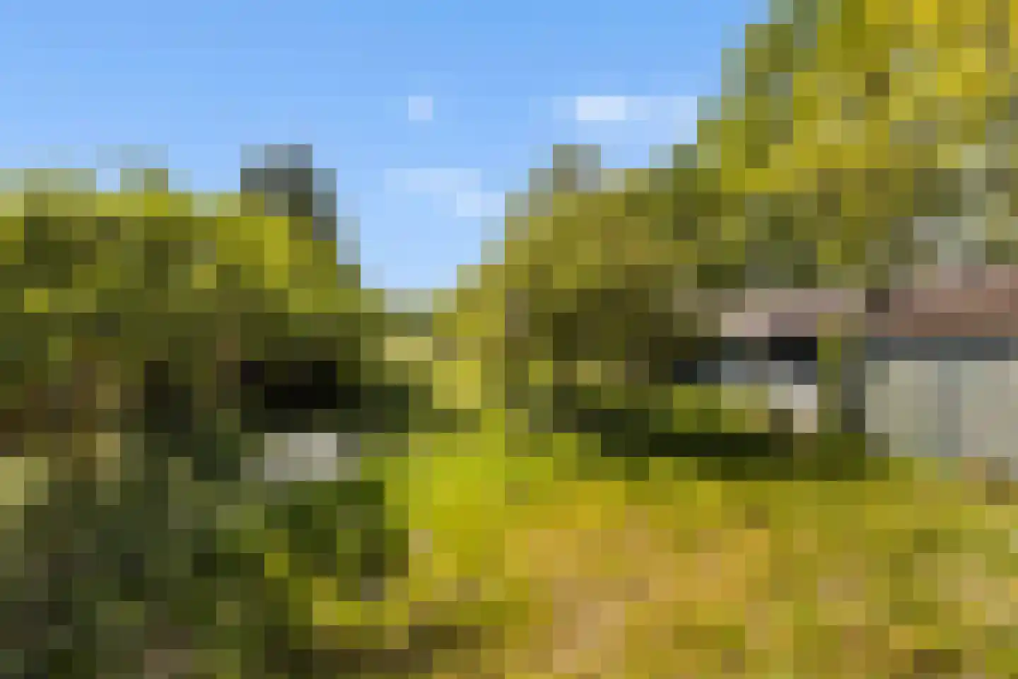 Vriezenveenseweg 41 Wierden thumbnail 25