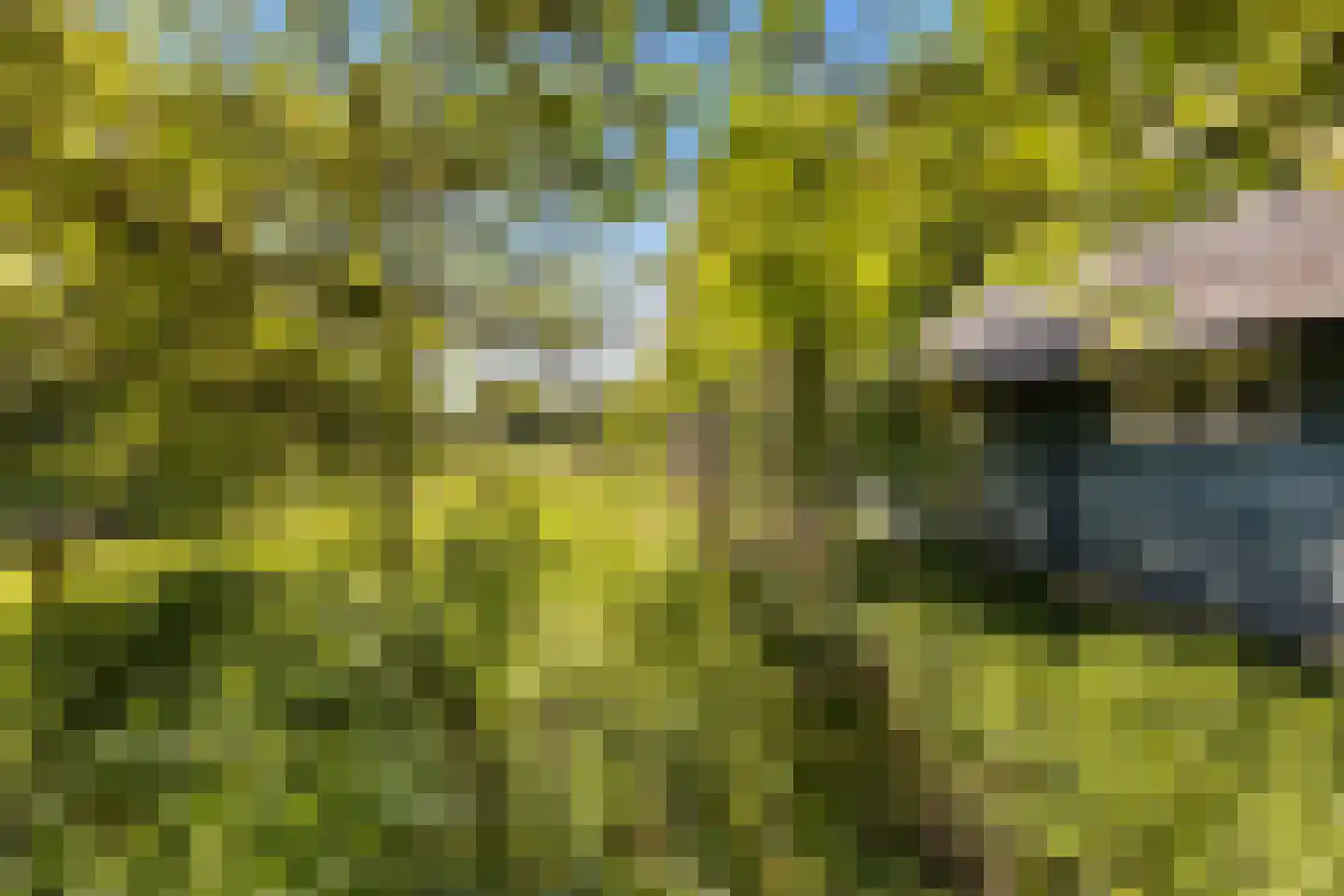 Vriezenveenseweg 41 Wierden thumbnail 26