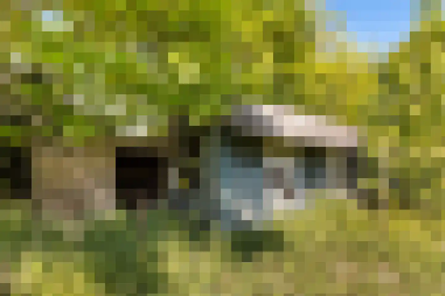 Vriezenveenseweg 41 Wierden thumbnail 27