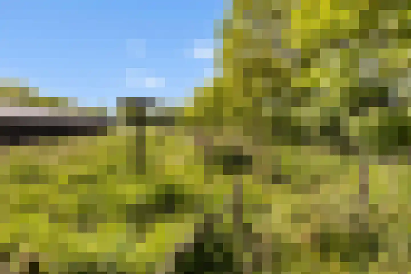 Vriezenveenseweg 41 Wierden thumbnail 29