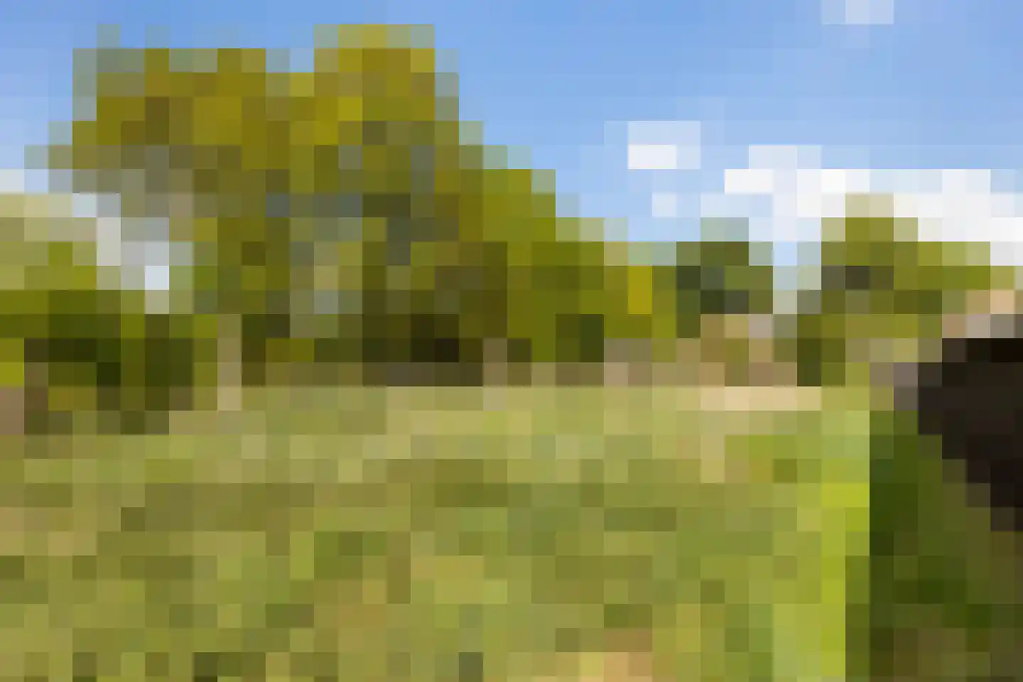 Vriezenveenseweg 41 Wierden thumbnail 30