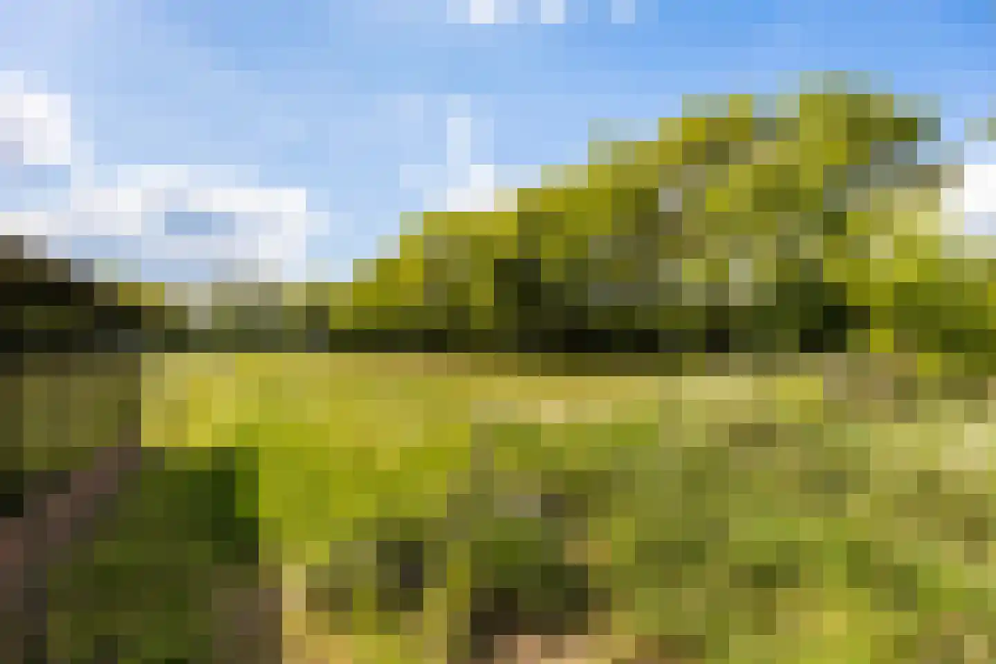 Vriezenveenseweg 41 Wierden thumbnail 31