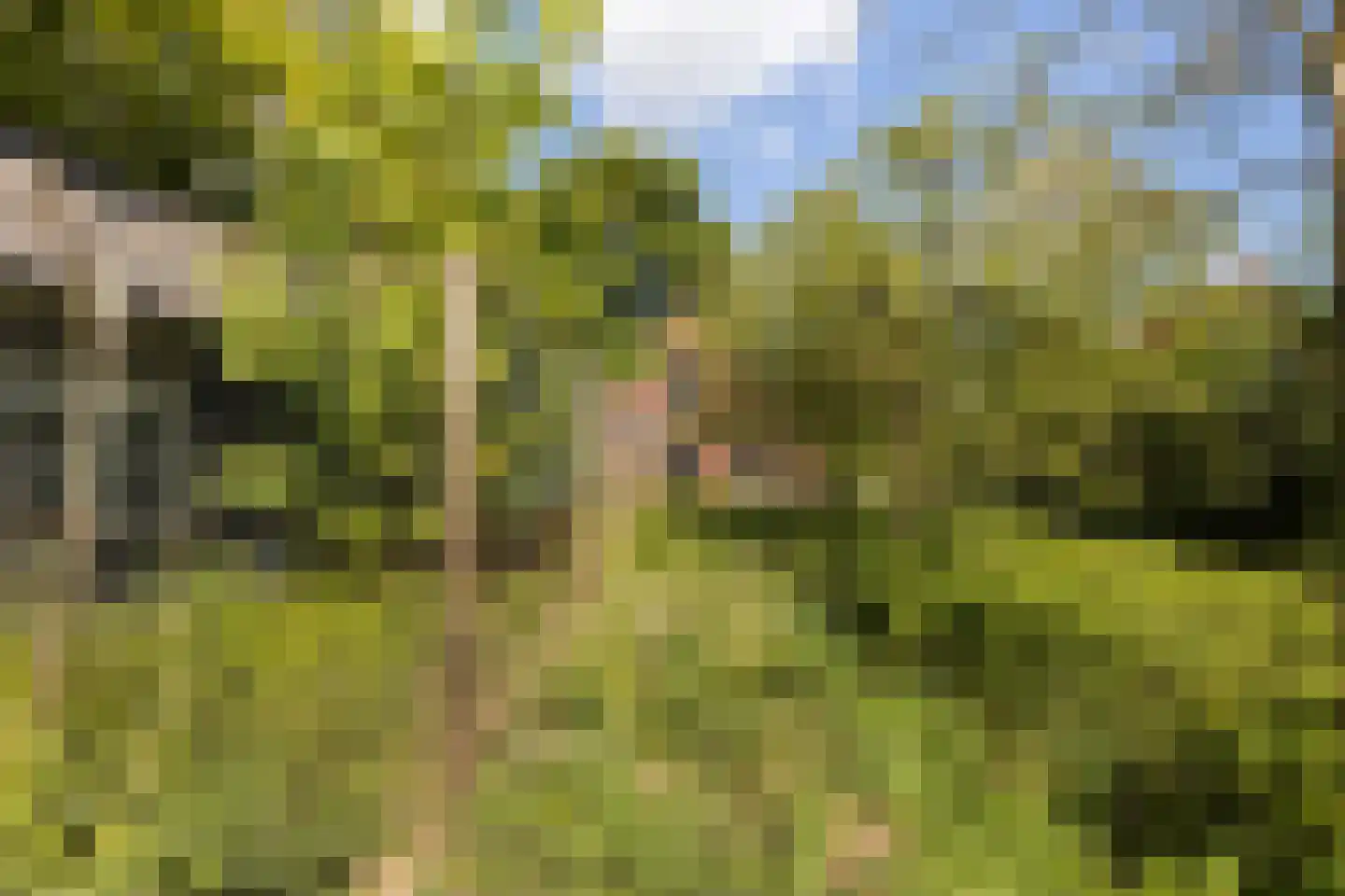 Vriezenveenseweg 41 Wierden thumbnail 32