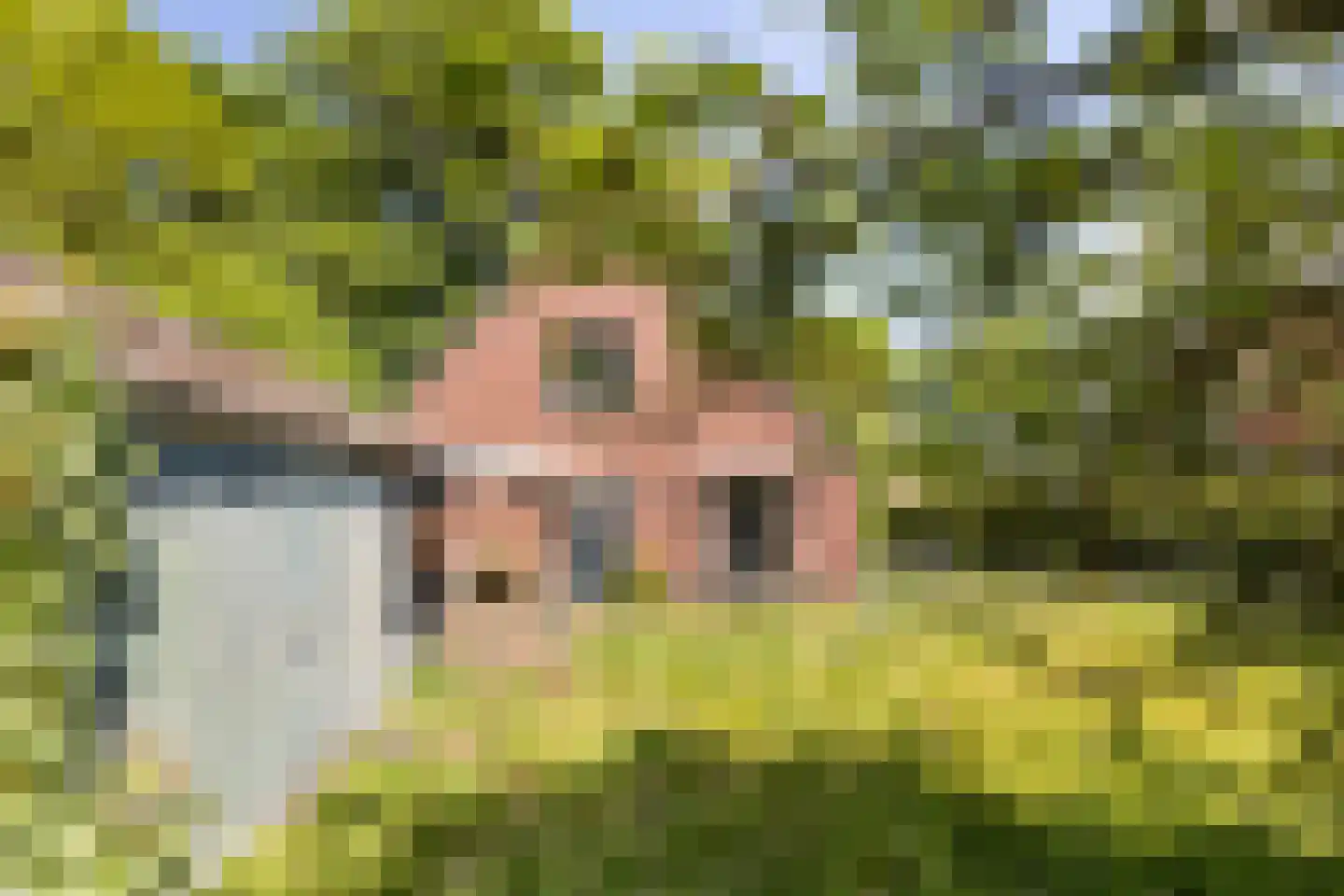 Vriezenveenseweg 41 Wierden thumbnail 33