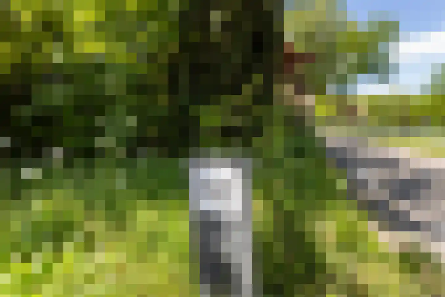 Vriezenveenseweg 41 Wierden thumbnail 36