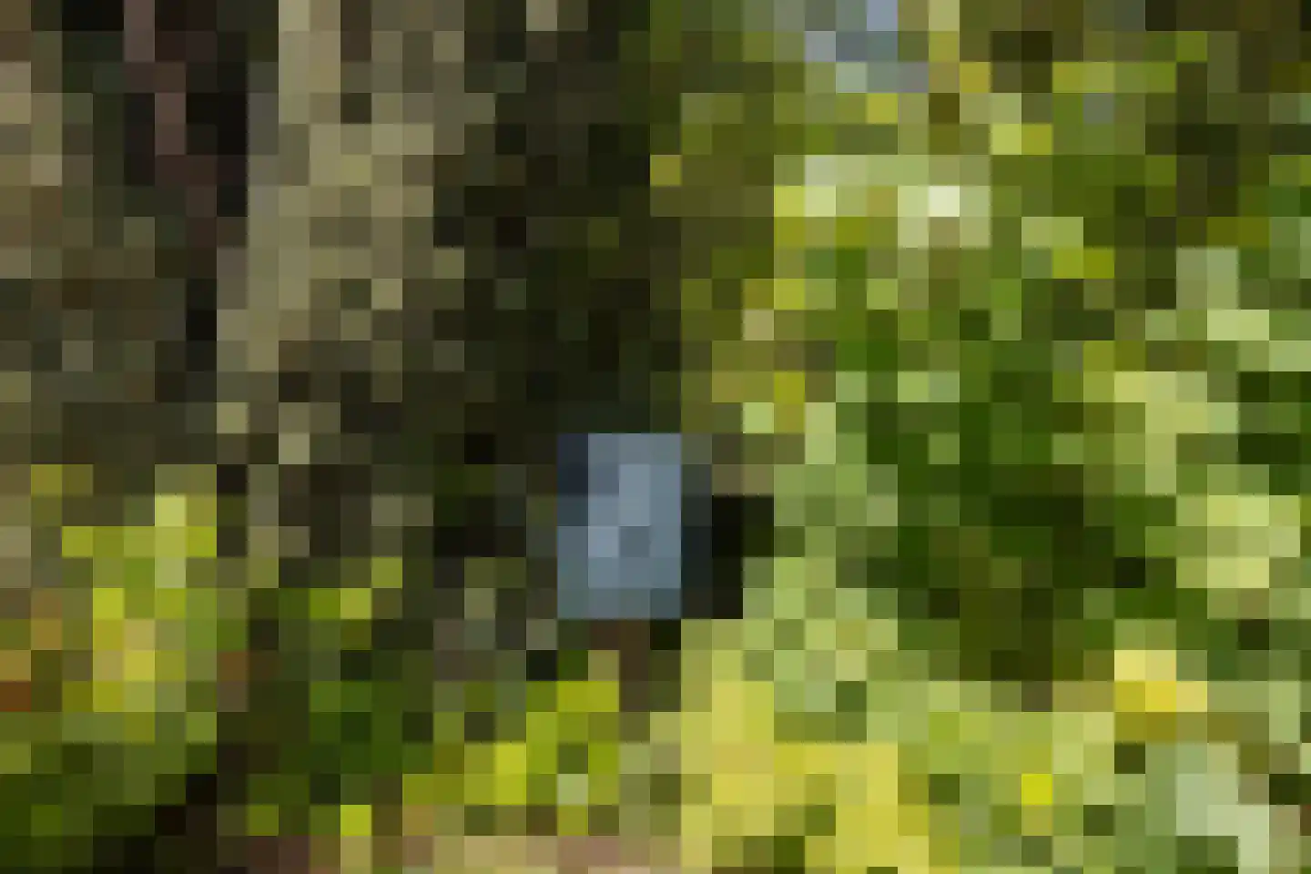 Vriezenveenseweg 41 Wierden thumbnail 37