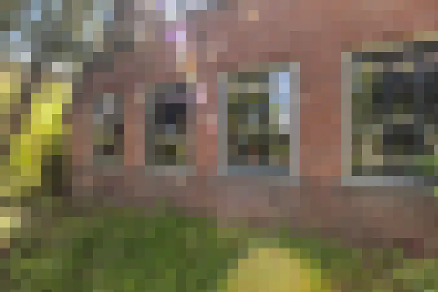 Vriezenveenseweg 41 Wierden thumbnail 38