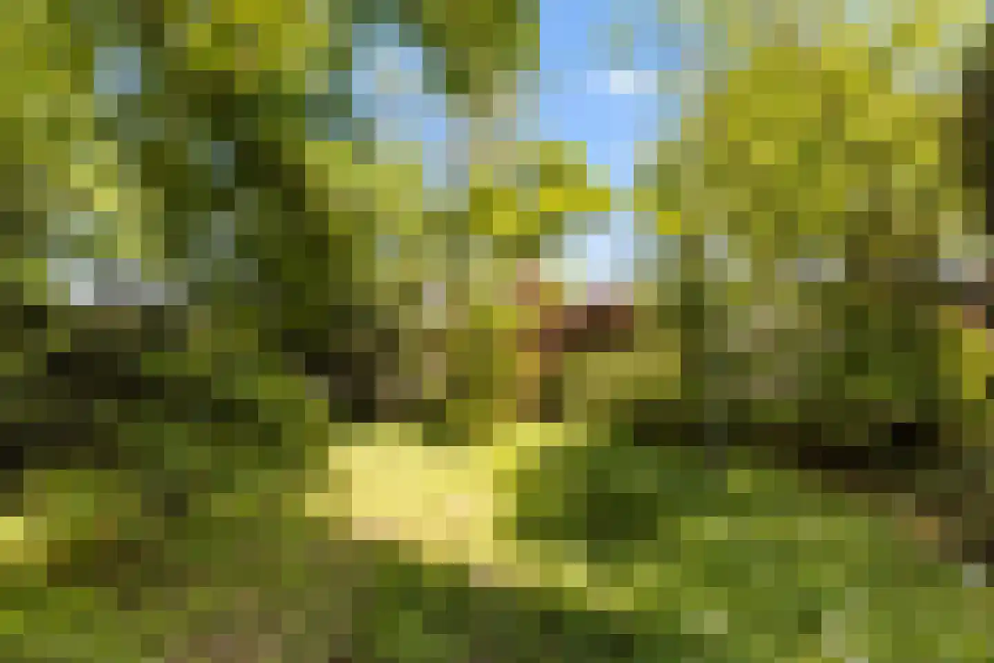 Vriezenveenseweg 41 Wierden thumbnail 39