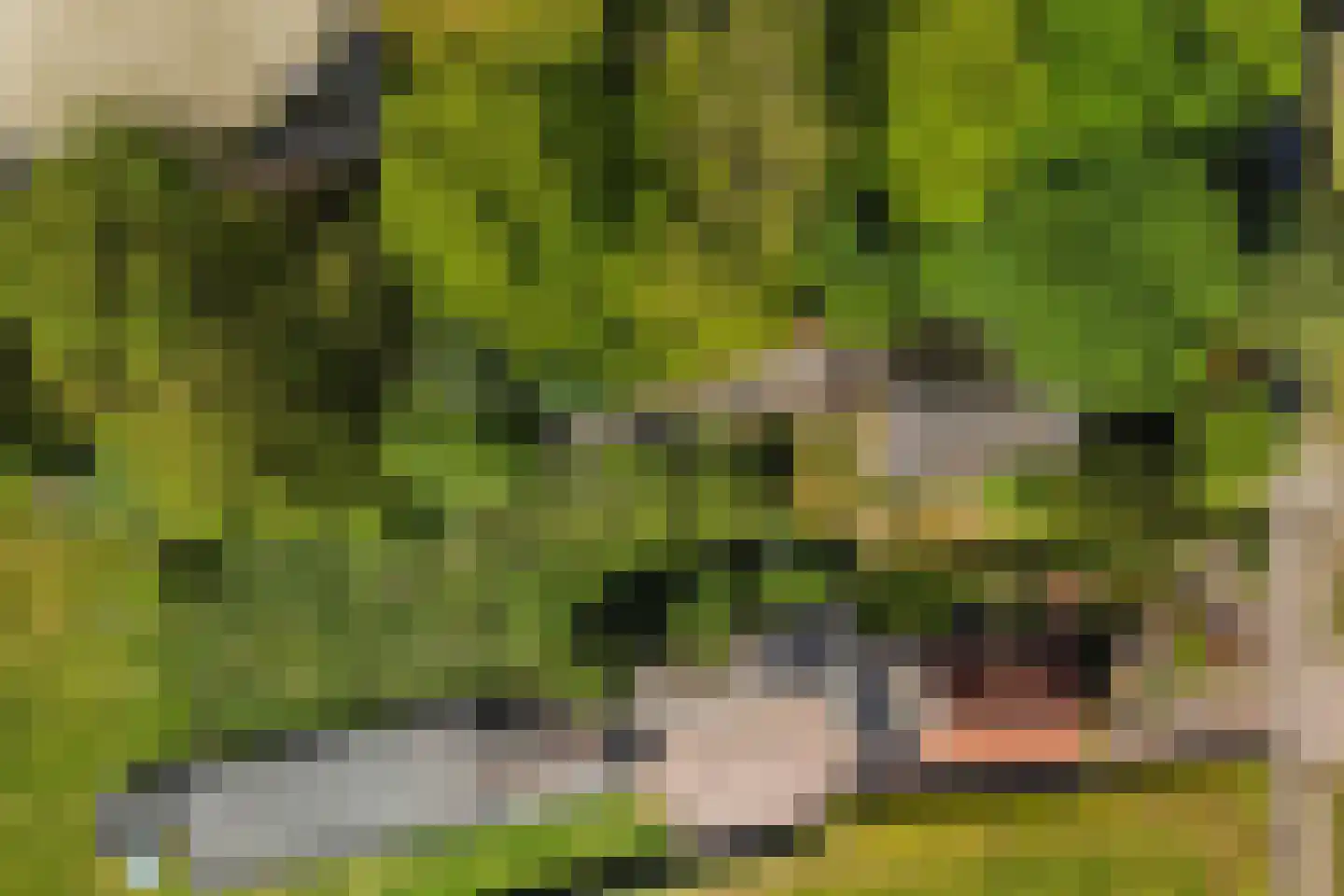 Vriezenveenseweg 41 Wierden thumbnail 4