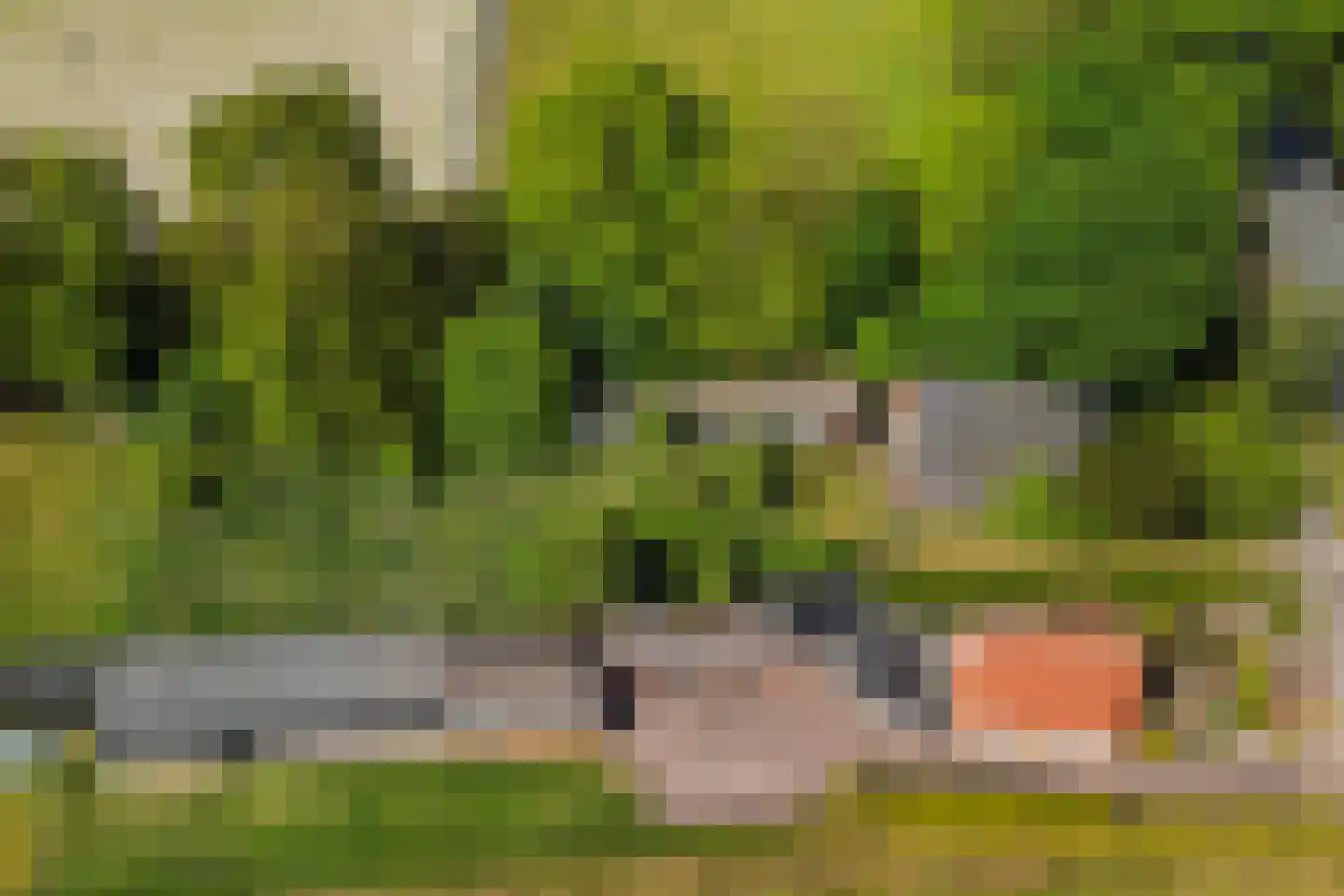 Vriezenveenseweg 41 Wierden thumbnail 41