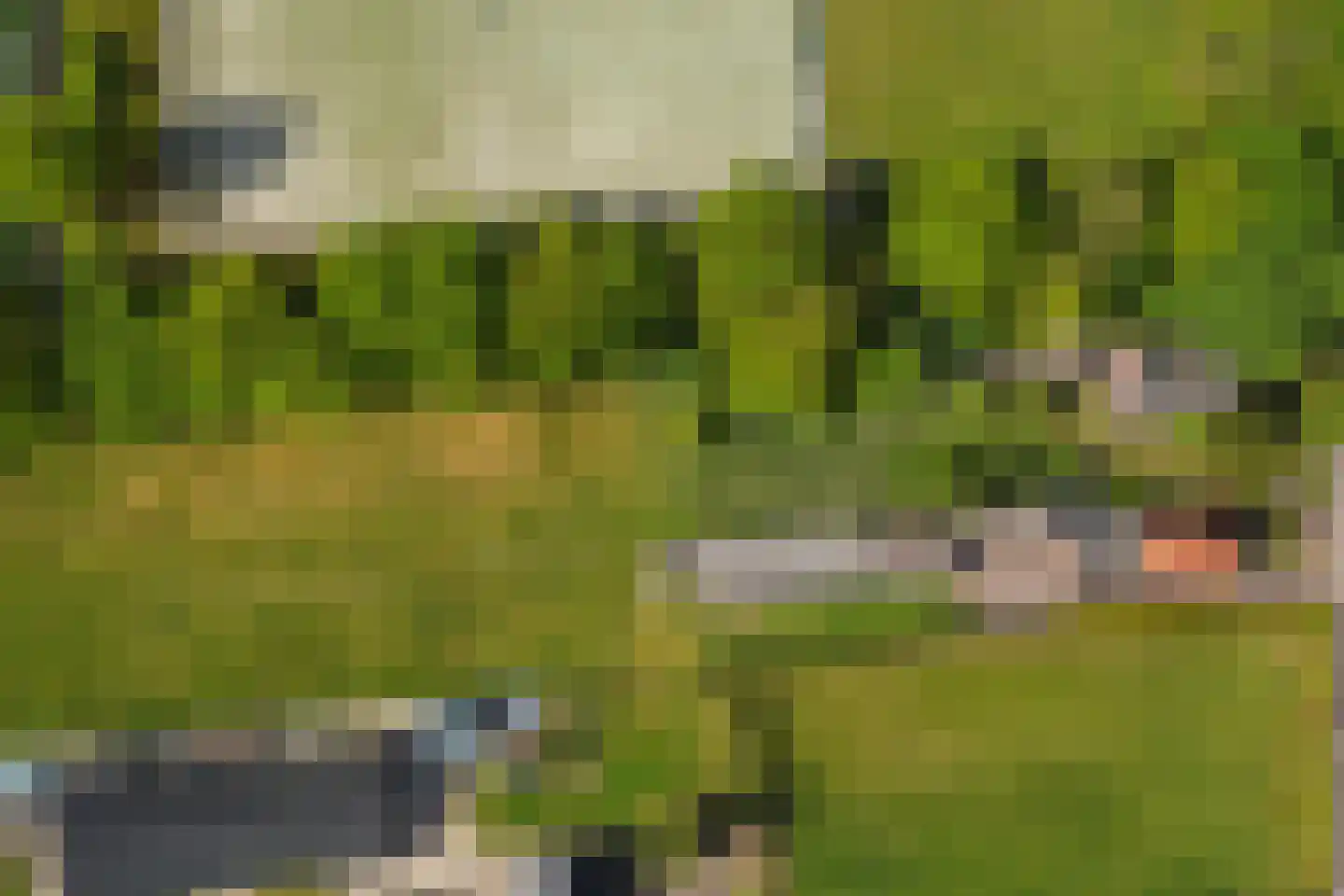 Vriezenveenseweg 41 Wierden thumbnail 42