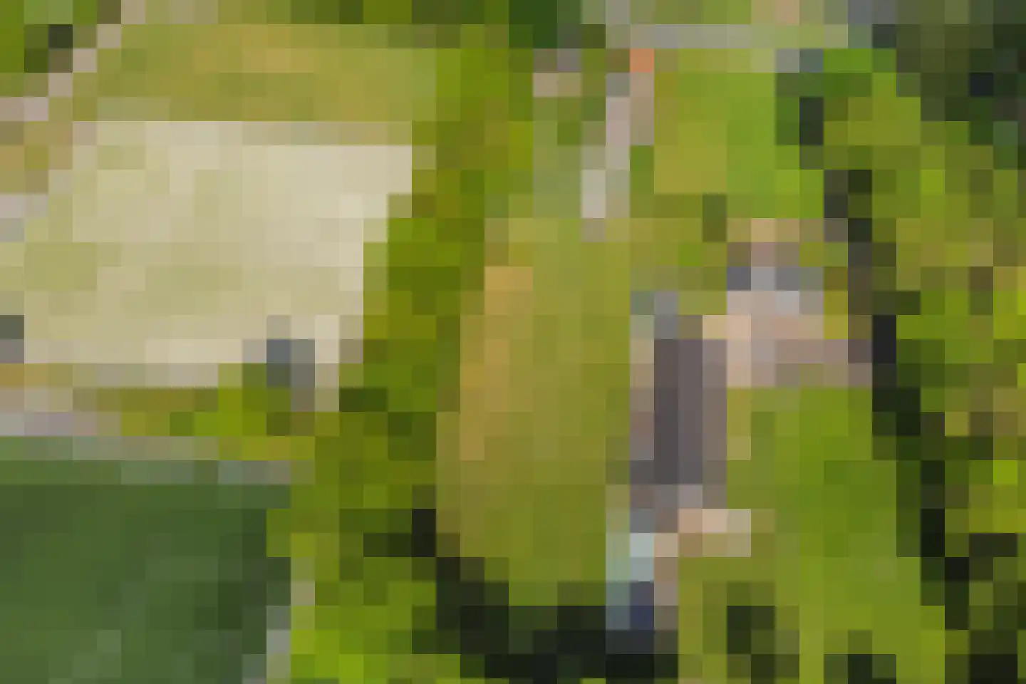 Vriezenveenseweg 41 Wierden thumbnail 43