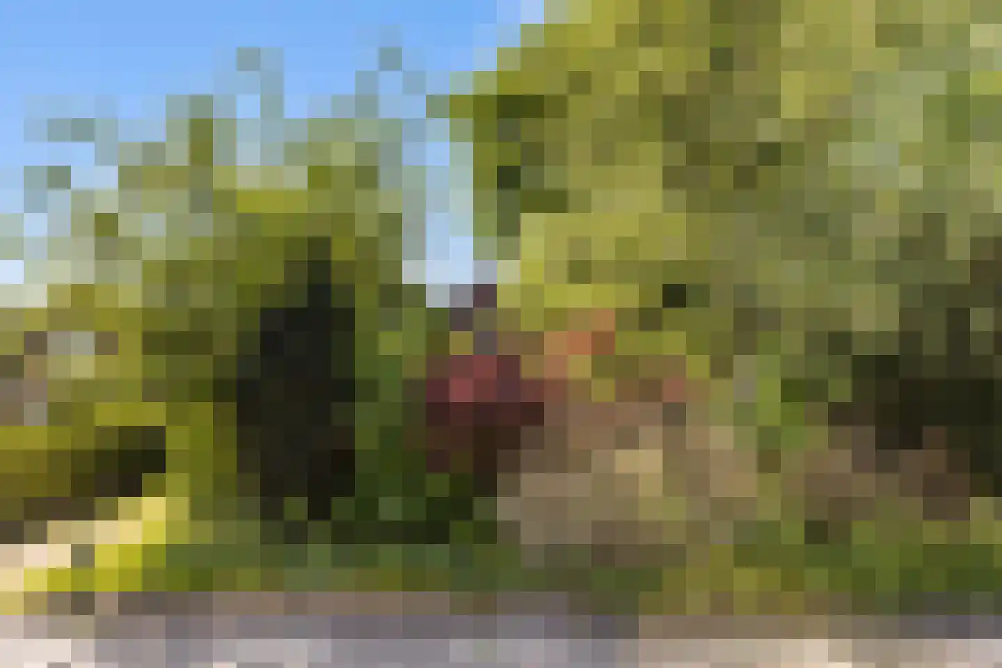 Vriezenveenseweg 41 Wierden thumbnail 5