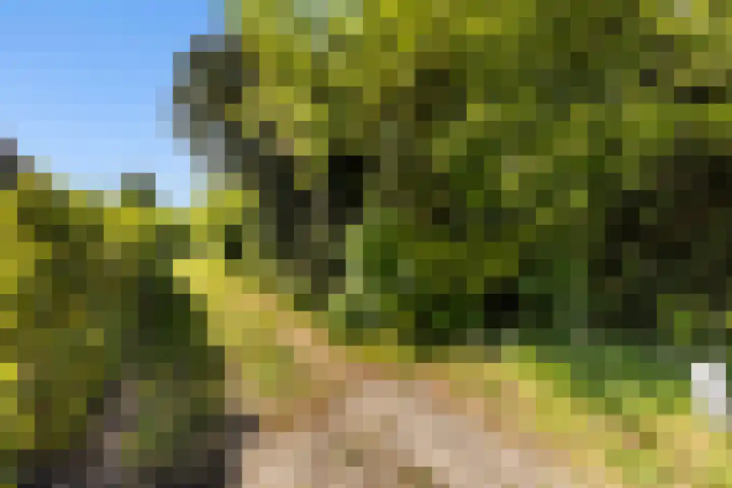 Vriezenveenseweg 41 Wierden thumbnail 6