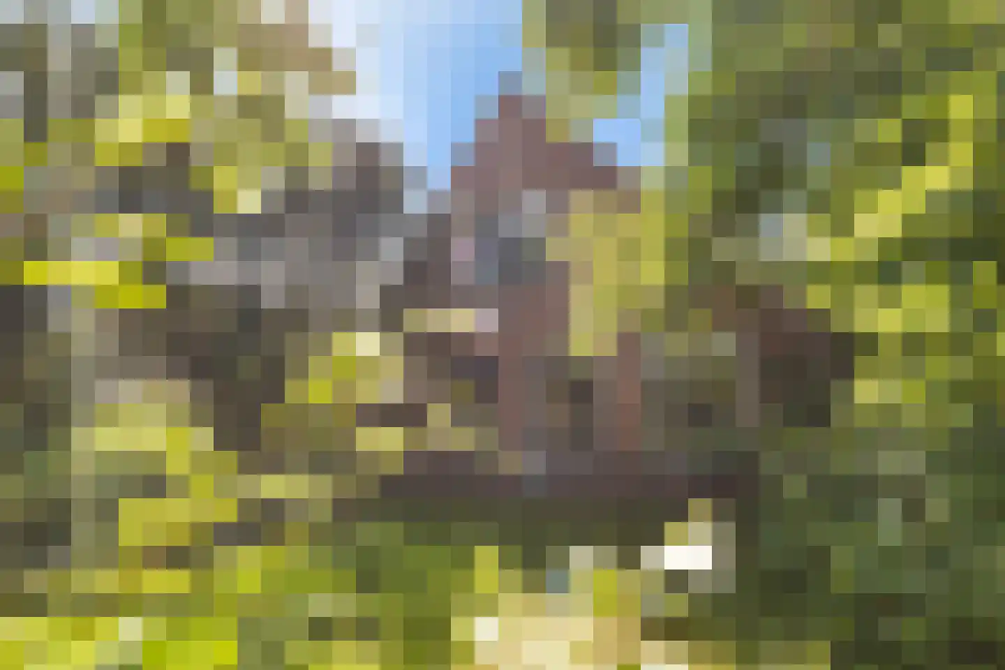 Vriezenveenseweg 41 Wierden thumbnail 7