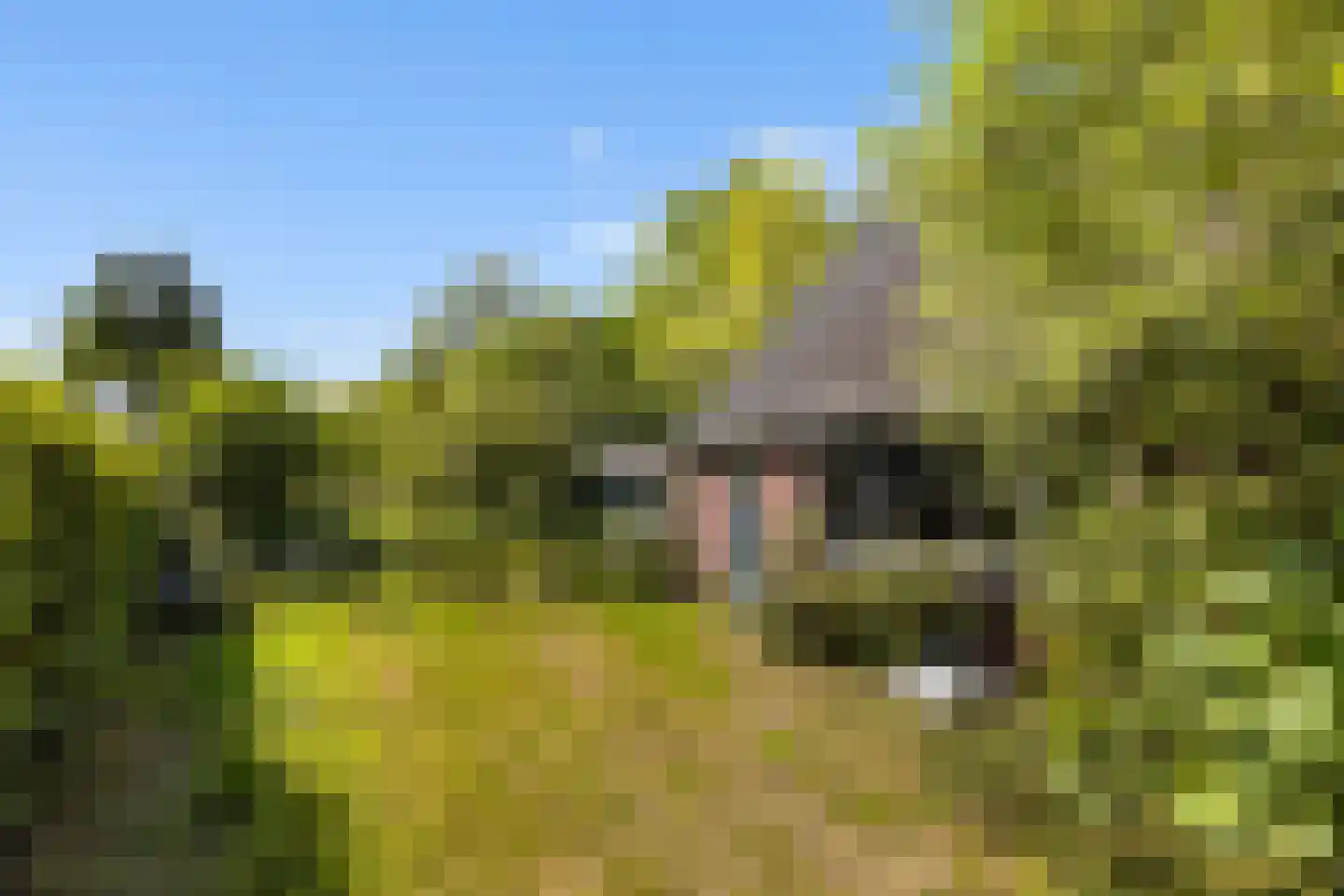 Vriezenveenseweg 41 Wierden thumbnail 8