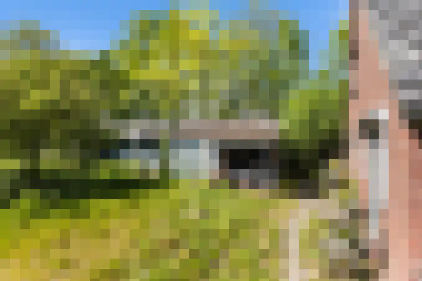 Vriezenveenseweg 41 Wierden thumbnail 9