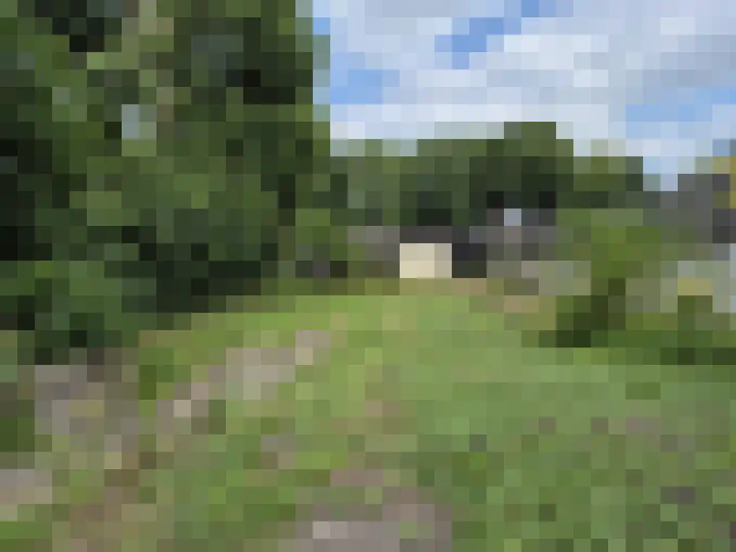Vriezenveenseweg 6 a Vroomshoop thumbnail 10