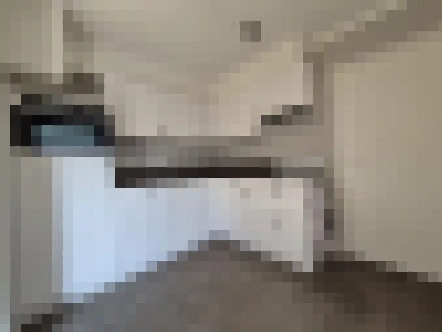Vriezenveenseweg 6 a Vroomshoop thumbnail 4
