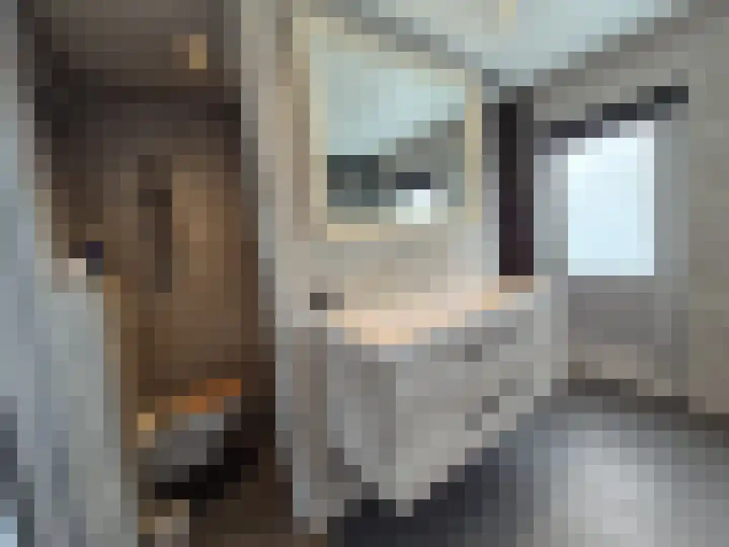 Vriezenveenseweg 6 a Vroomshoop thumbnail 6