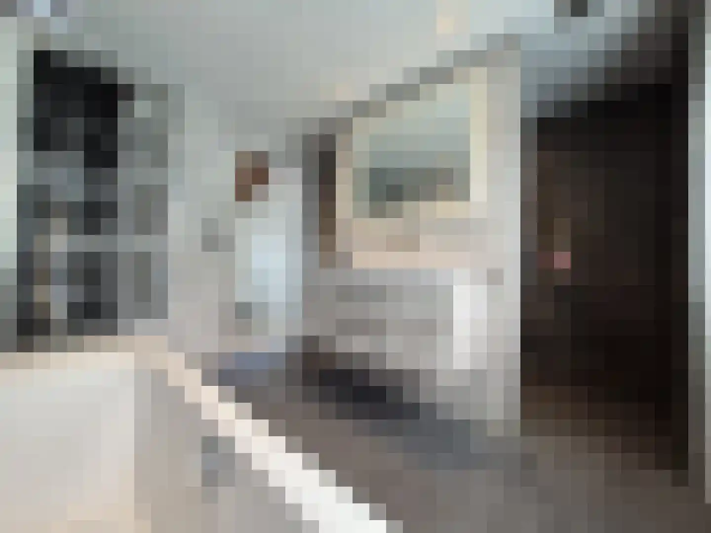 Vriezenveenseweg 6 a Vroomshoop thumbnail 7
