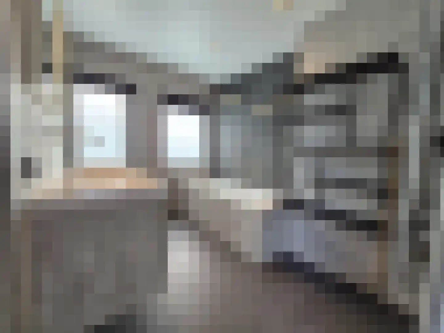 Vriezenveenseweg 6 a Vroomshoop thumbnail 9